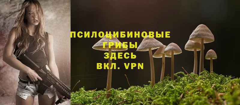 Псилоцибиновые грибы Cubensis  Углегорск 